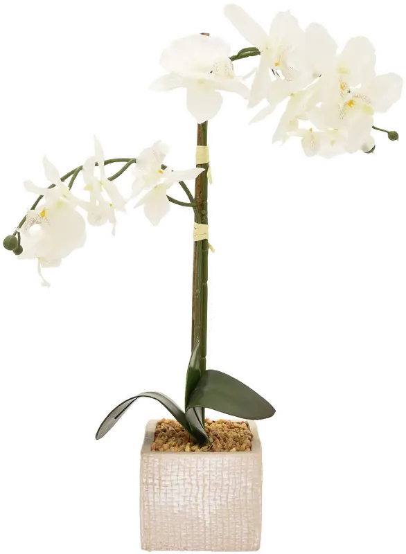 Faux White Orchid Arrangement in Square Pot