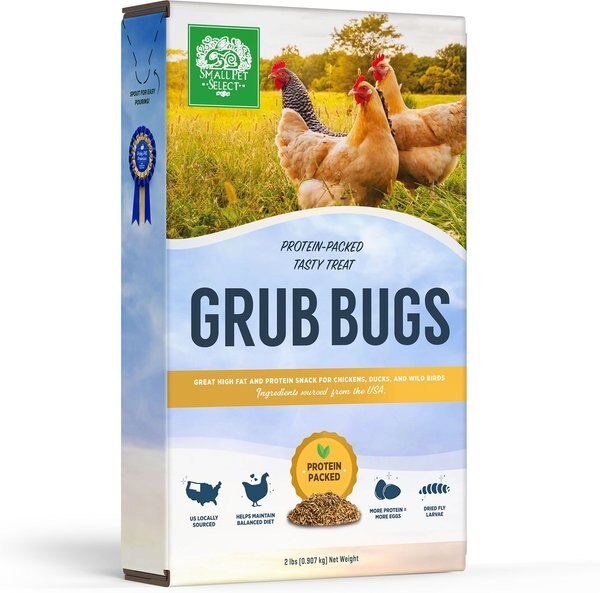 Small Pet Select Grub Bugs Black Soldier Fly Larvae Treats