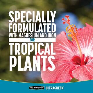 Pennington Ultragreen 5 lbs. Palm Tree and Hibiscus Plant Food 9-4-9 100540115