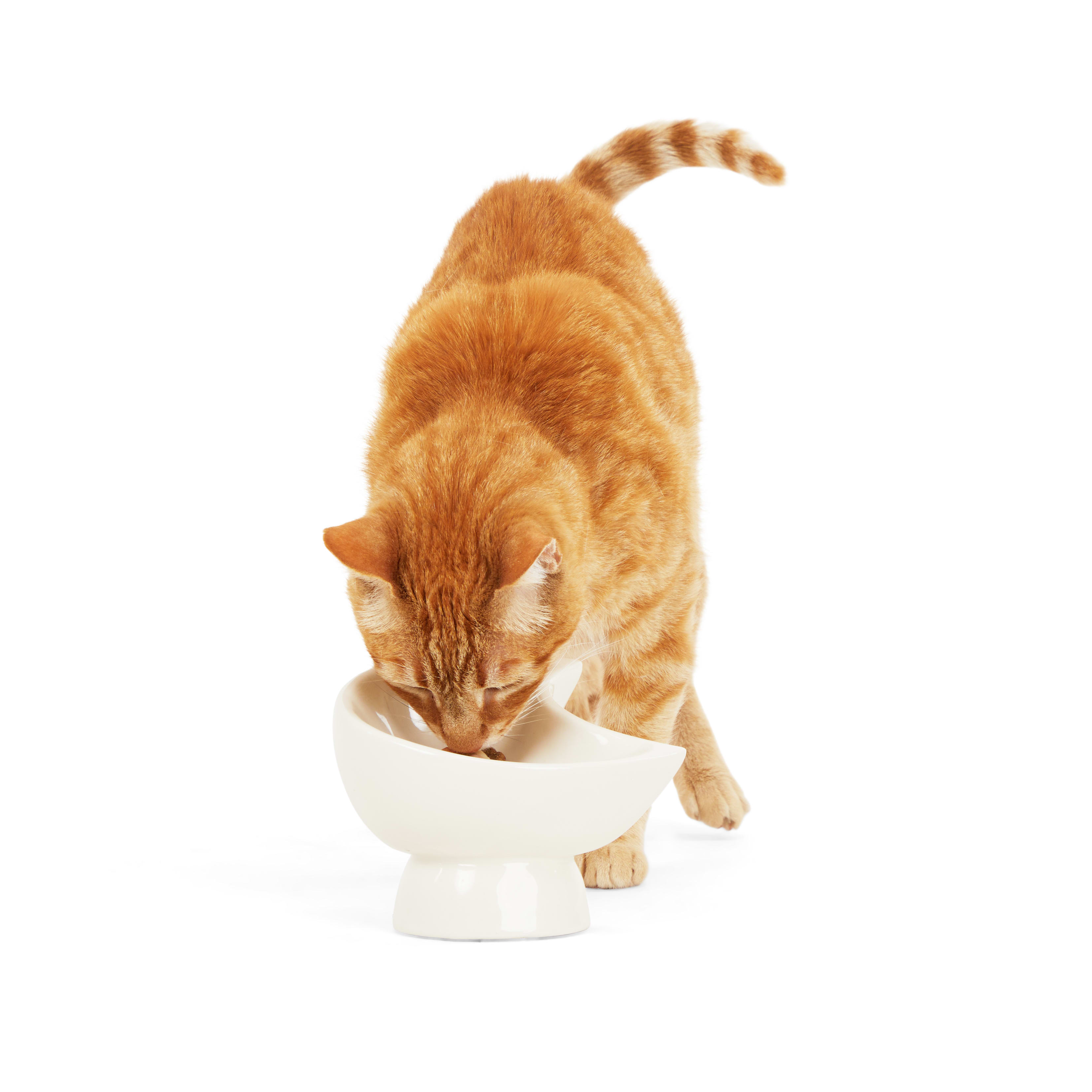 EveryYay Essentials Elevated Moon Cat Bowl