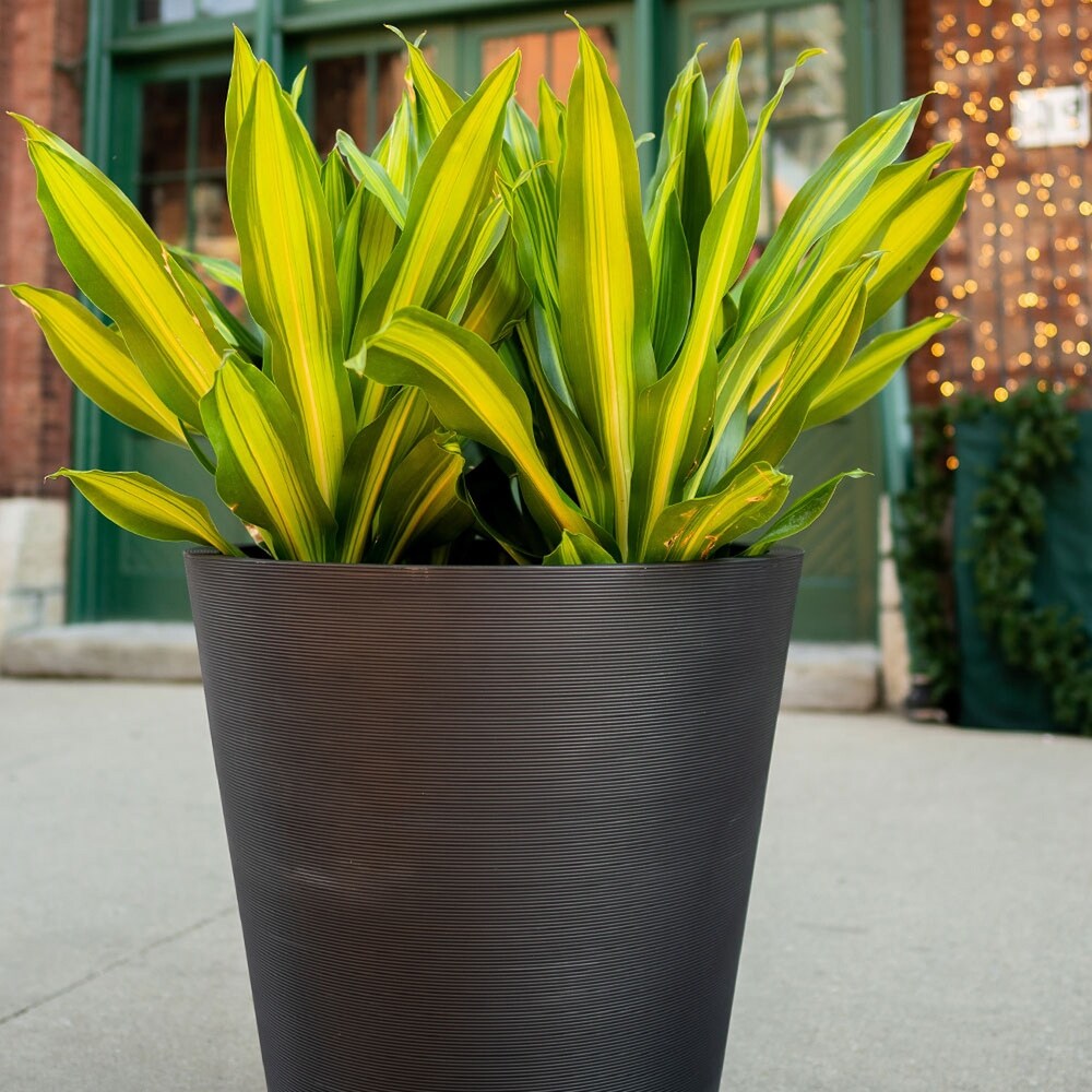 Curve 30'' GROOVED Planter