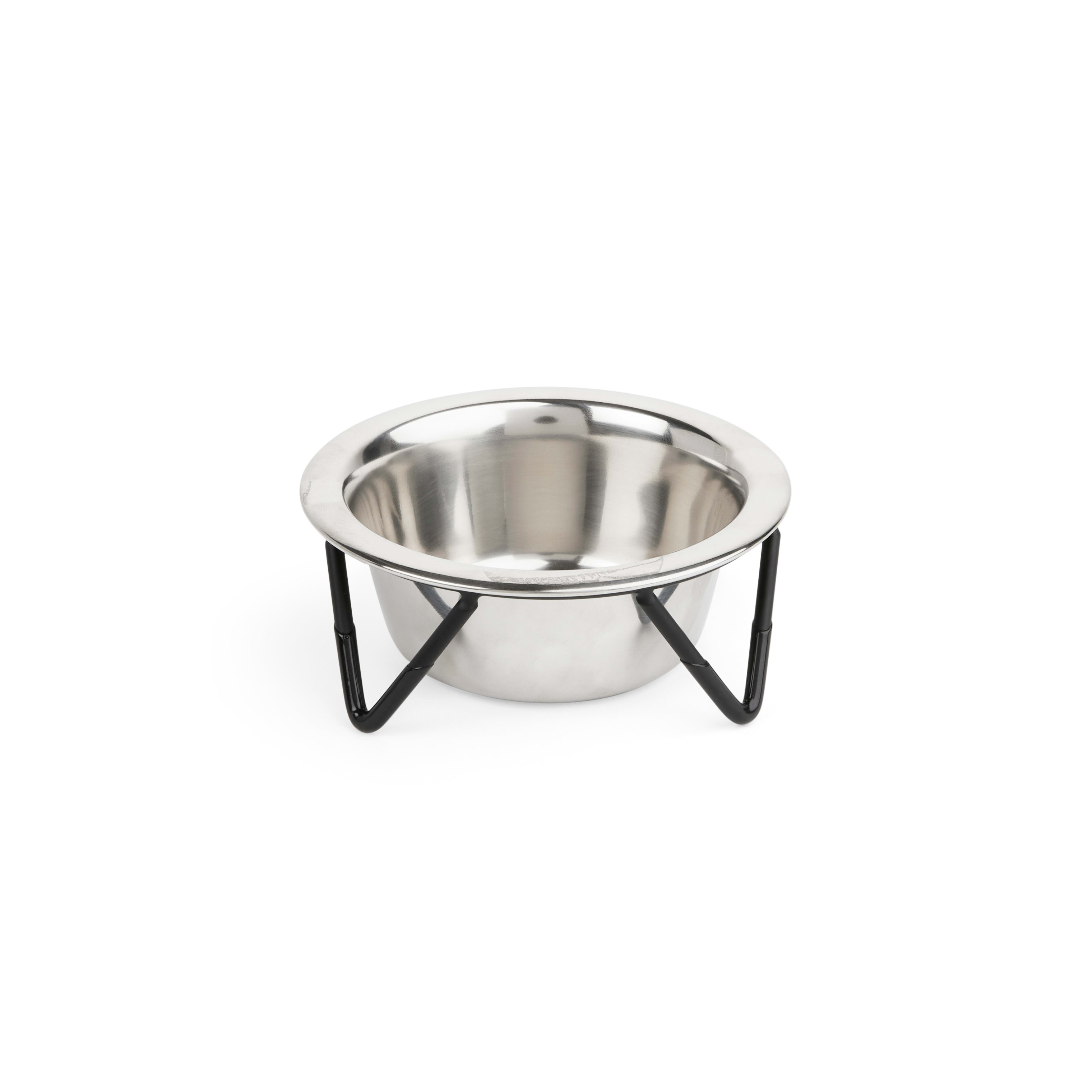 EVERYYAY Better Together Elevated Stainless-Steel Cat Bowl， 0.75 Cups