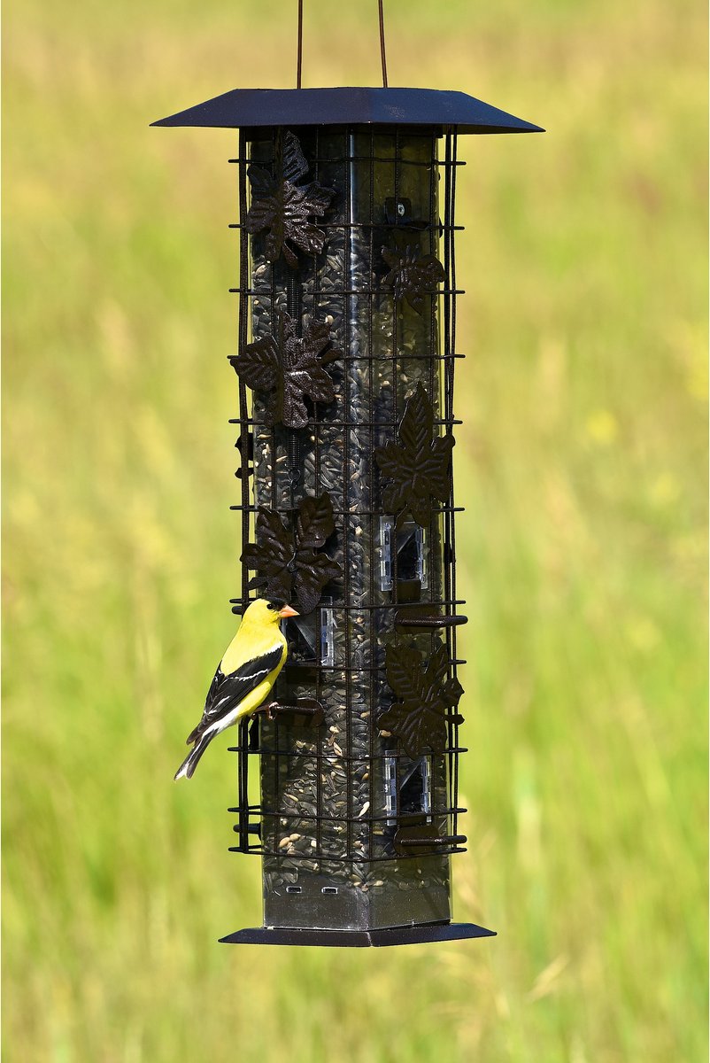 Perky-Pet Squirrel-Be-Gone Wild Bird Feeder