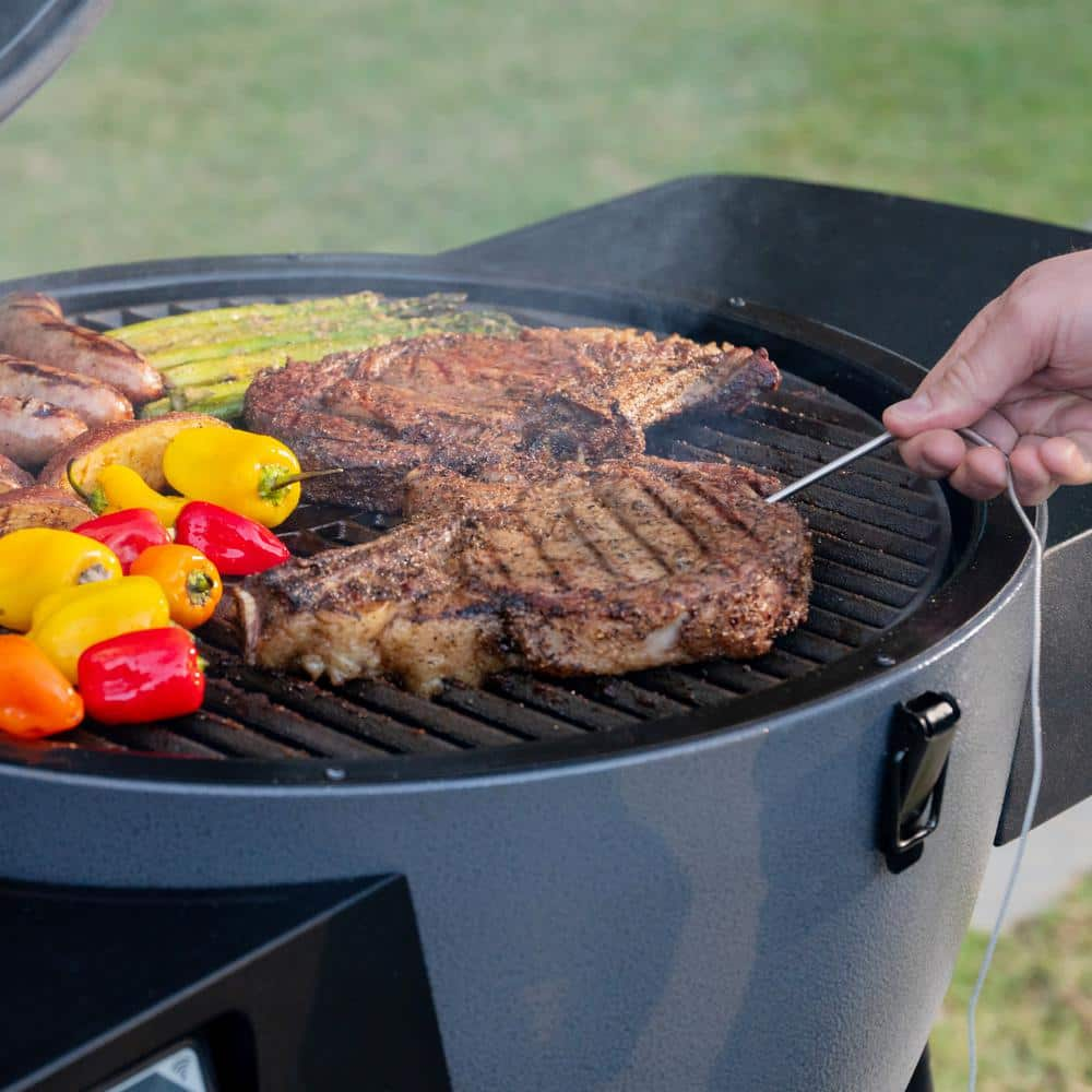 Char-Griller Akorn Auto-Kamado 20-inch Digital WiFi Charcoal Grill in Gray 6480