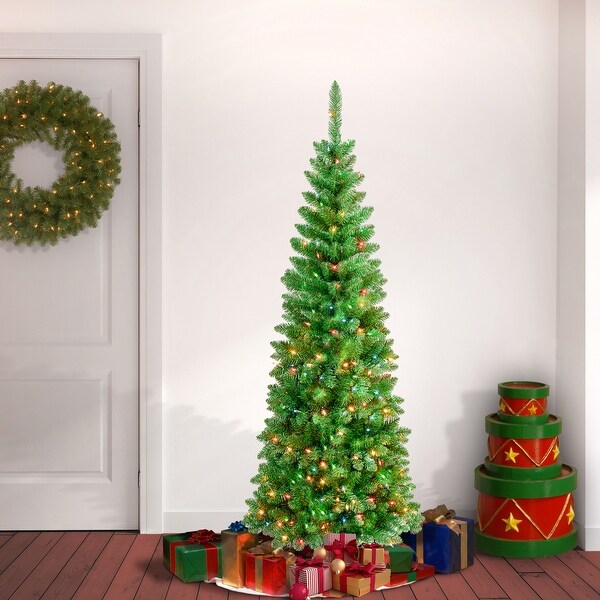 National Tree Company 6 ft. Rowan Pencil Slim Tree with Multicolor Lights