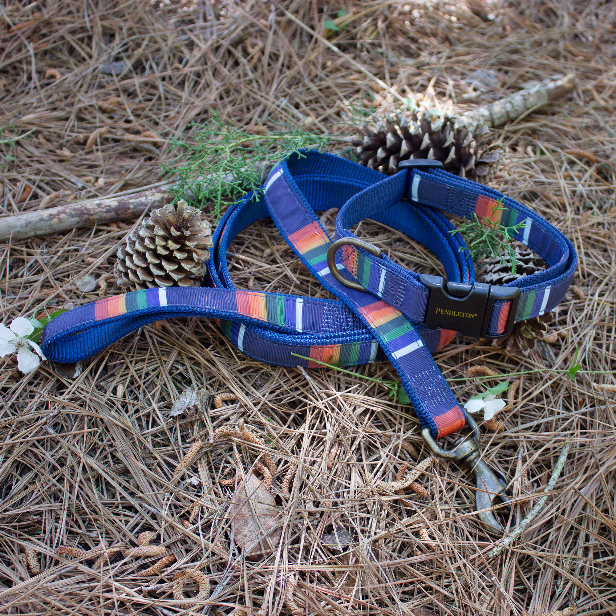 Pendleton Park Collar | Crater Lake