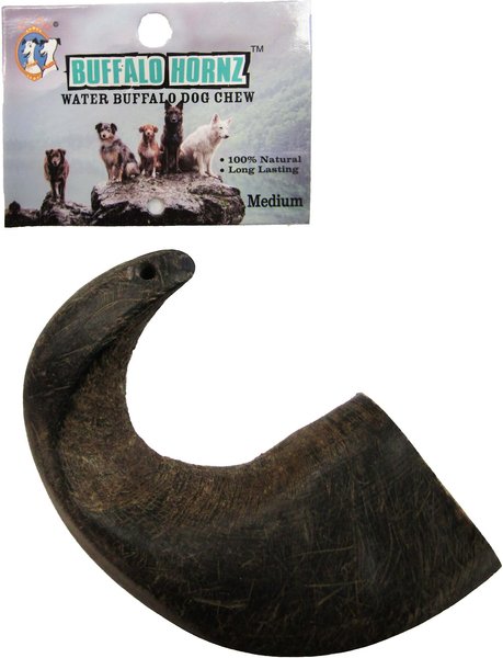 QT Dog Buffalo Hornz Water Buffalo Horn Dog Treat