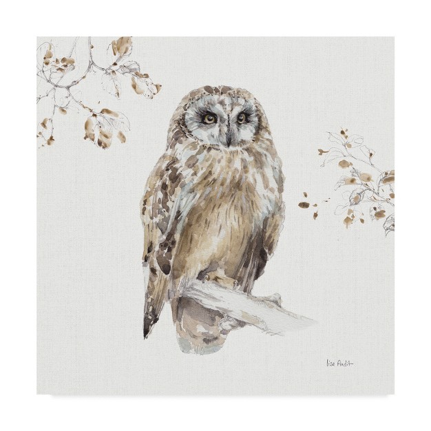 Trademark Fine Art lisa Audit x27 woodland Walk Viii Owl x27 Canvas Art