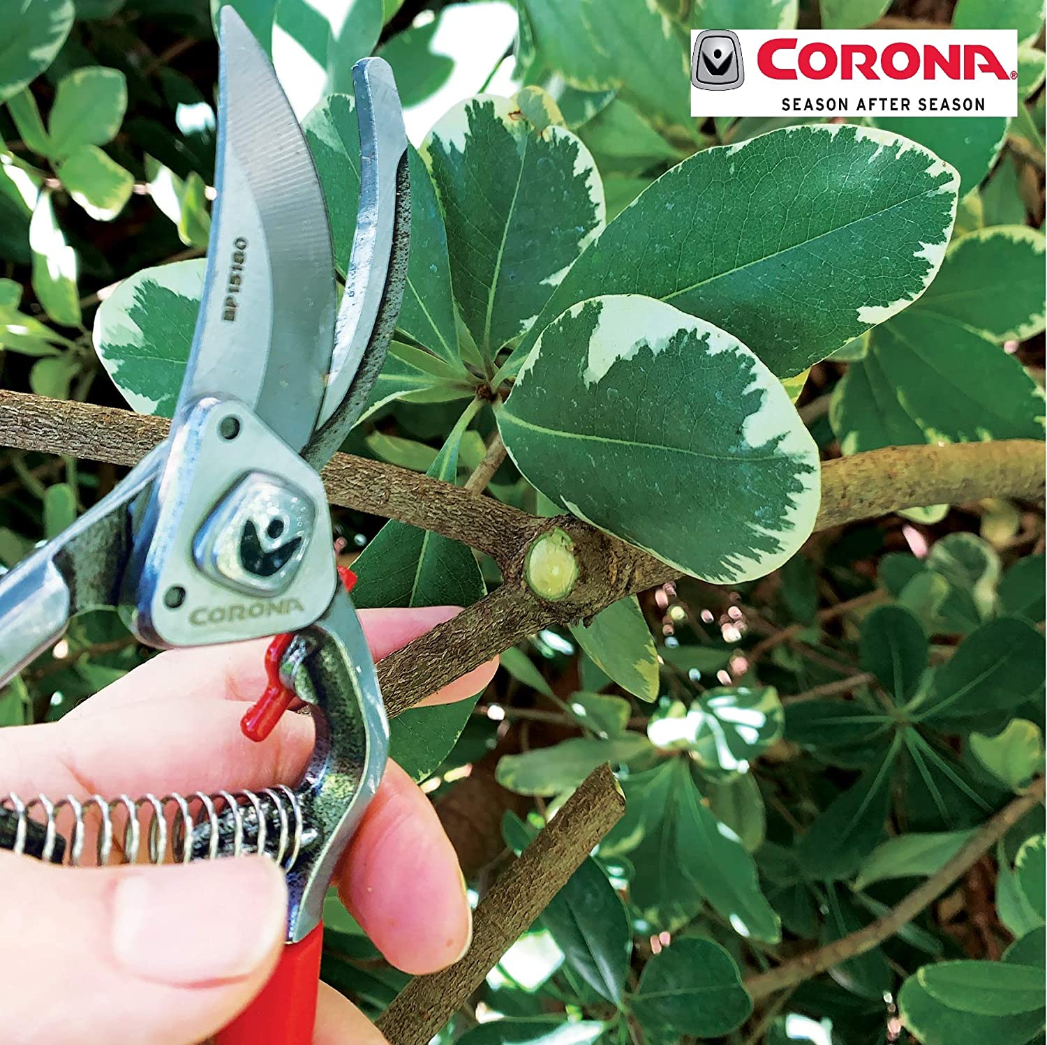 Corona Forged Steel ClassicCUT Bypass Hand Pruner-1