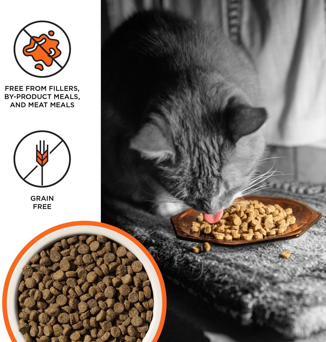 BIXBI Liberty Chicken Recipe Grain-Free Dry Cat Food