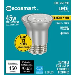 EcoSmart 45-Watt Equivalent PAR16 Dimmable Flood LED Light Bulb Bright White (2-Pack) A20PR1645WESD32