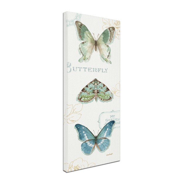 Trademark Fine Art lisa Audit x27 my Greenhouse Butterflies Vi x27 Canvas Art