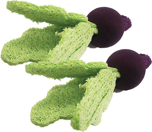 AandE Cage Company Turnips Loofah Small Pet Toy