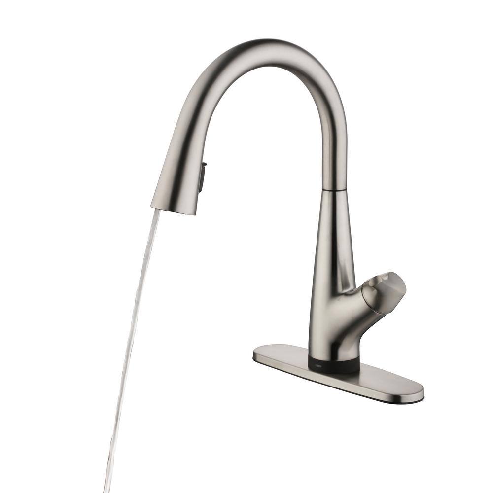 Glacier Bay Eagleton Single-Handle Pull-Down Sprayer Kitchen Faucet With Filtration in Stainless Steel HD67540-1008D2