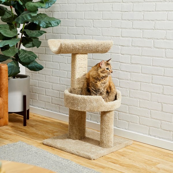 Frisco 30-in Real Carpet Wooden Cat Tree