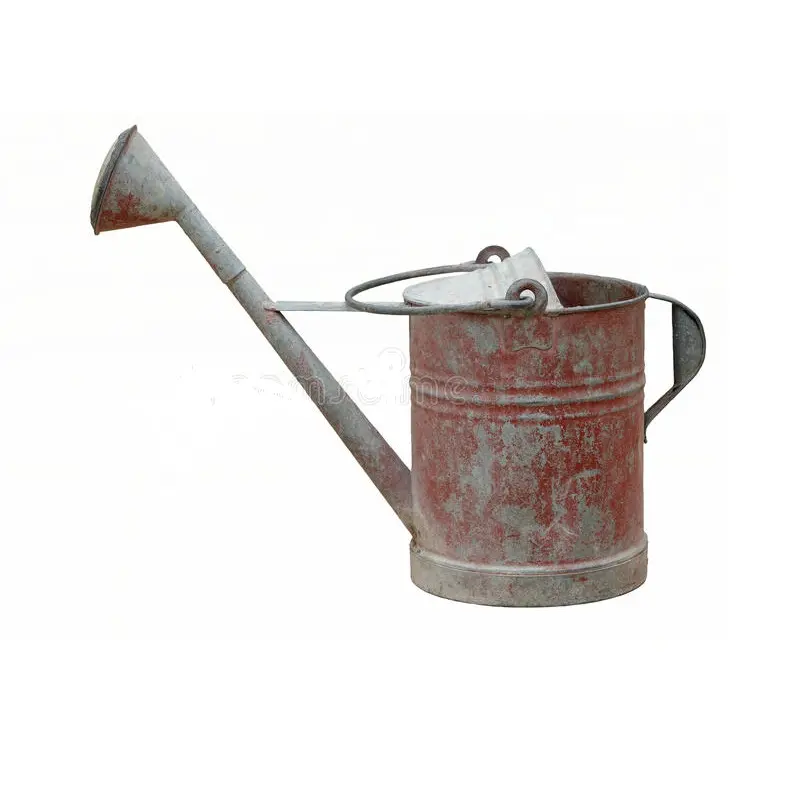 Brown Color Powder Coated Antique Shape Iron Watering Can Garden Decoration Fancy Design Galvanized Iron Water Can