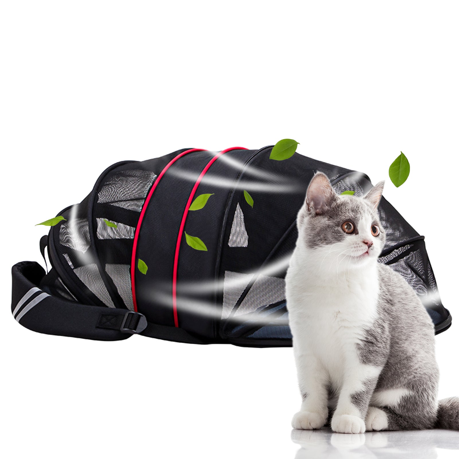 Expandable Cat Backpack Carrier With Breathable Mesh Pet Travel Bag For Cats And S Dogs Fully Ventilated Foldable Lightweight