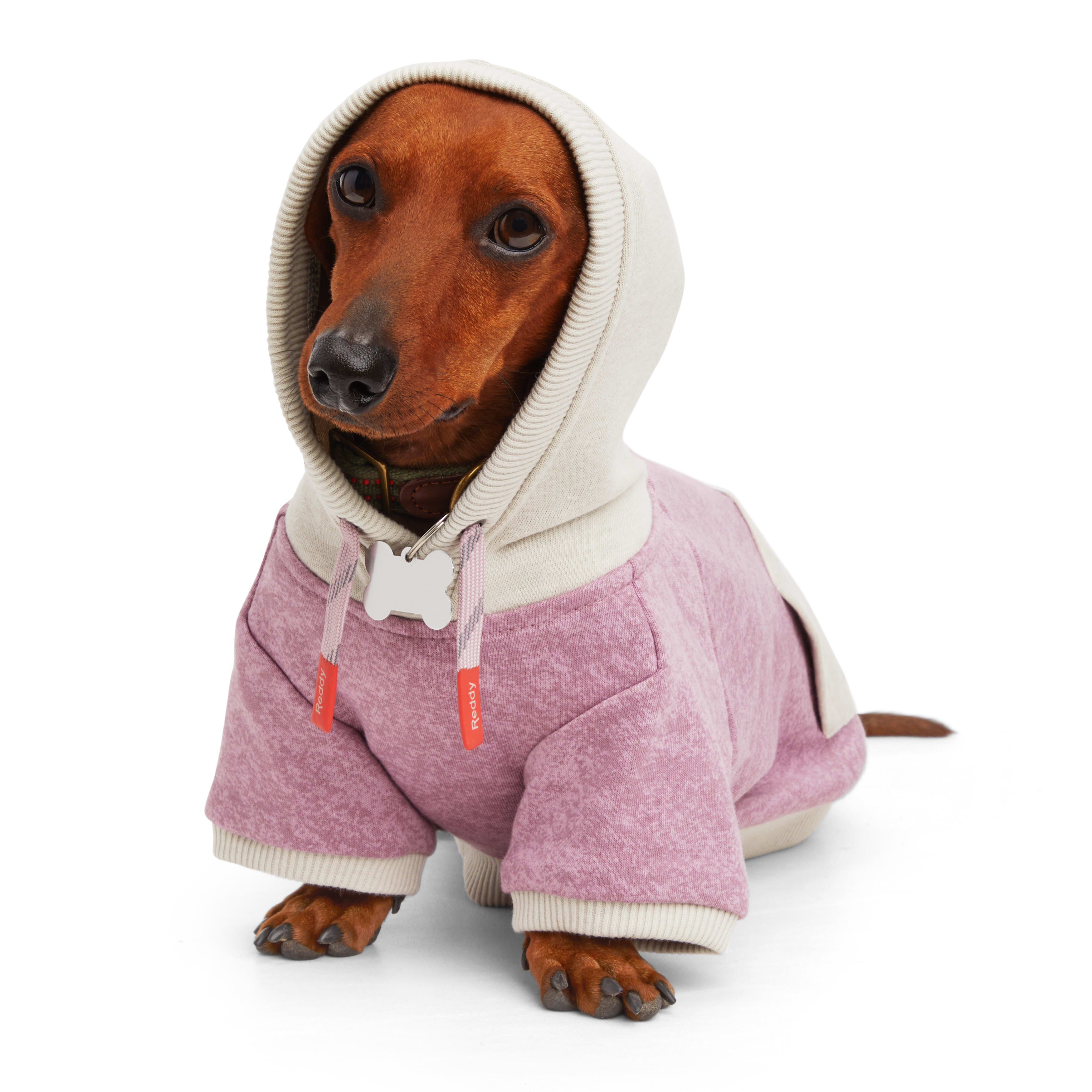 Reddy Mauve and Grey Washed Dog Hoodie， X-Small