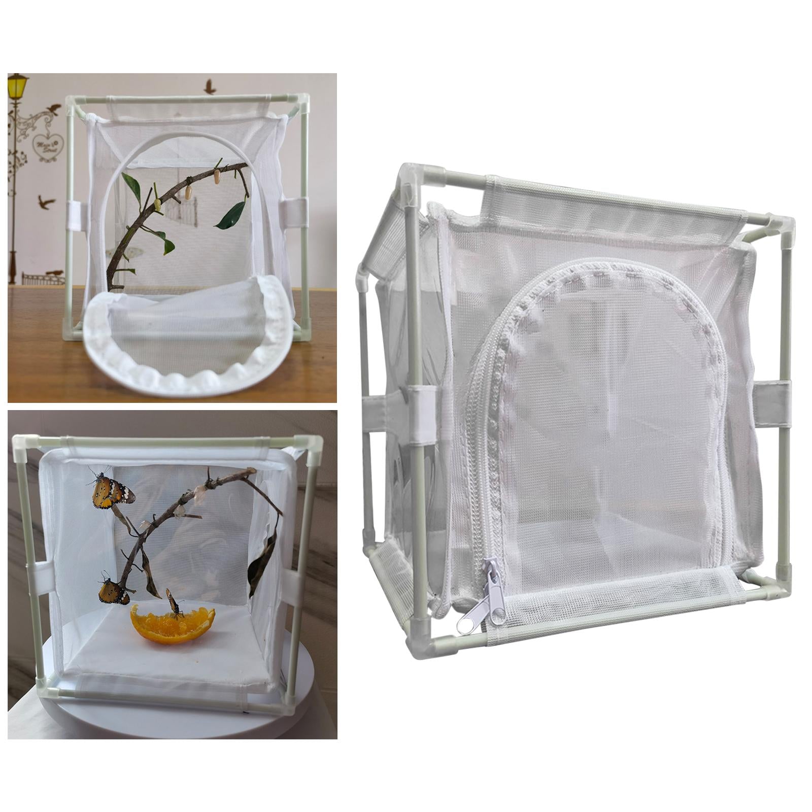 Net Cage Reusable Foldable Observation Cage Multi Use Butterfly Habitat Barrier Zipper