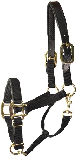 Gatsby Premium Padded Leather Overlay Nylon Horse Halter