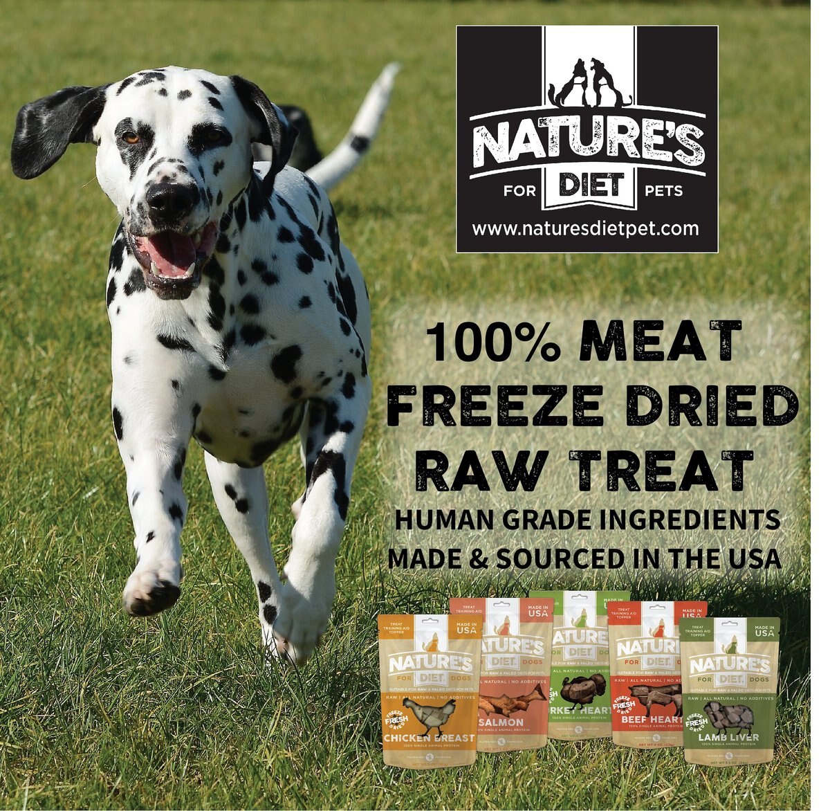 Nature's Diet Chicken Breast Raw Freeze-Dried Dog Treats， 3-oz pouch