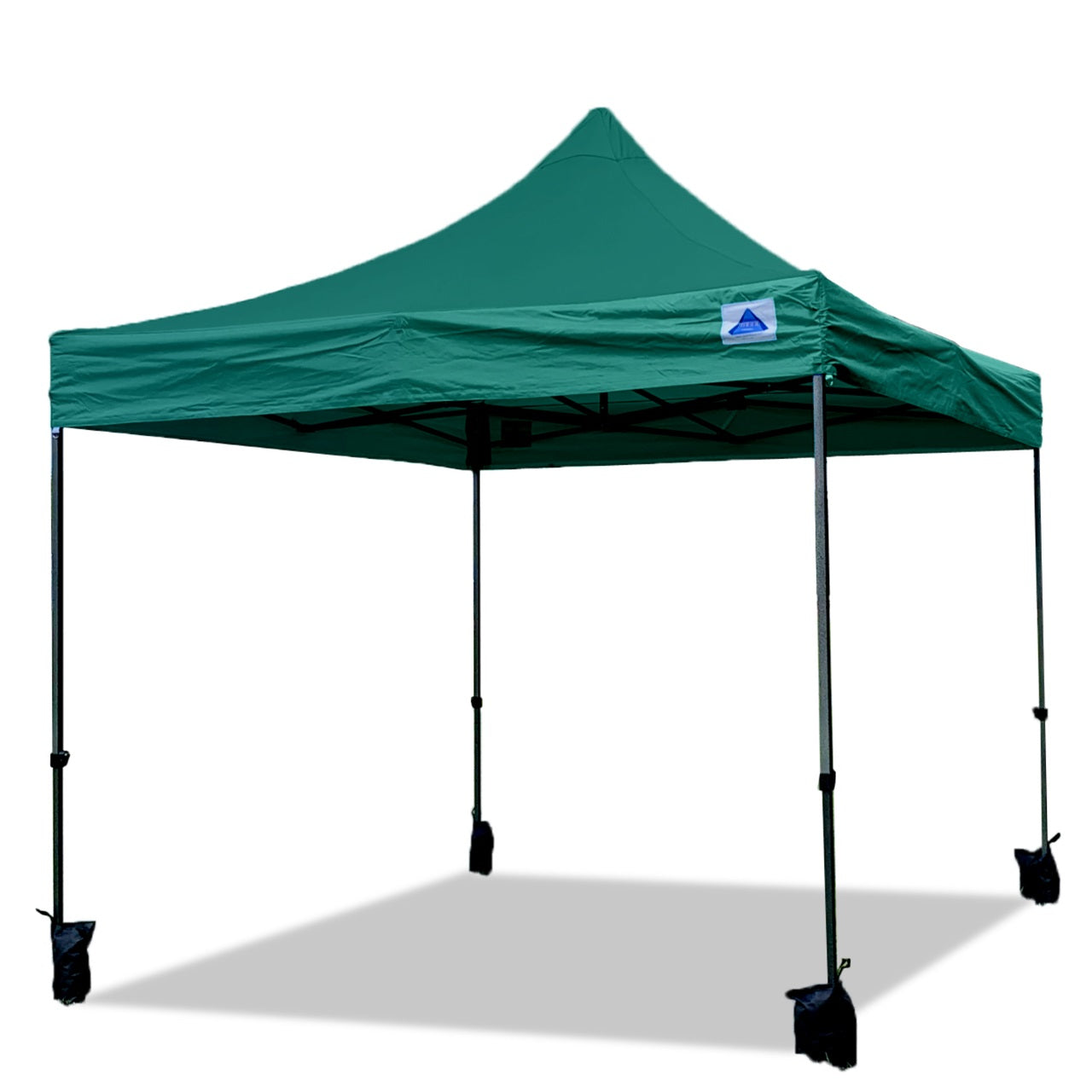 D/S Model 10’x10′ Pop Up Tent Canopy Shelter Shade with Weight Bags and Storage Bag