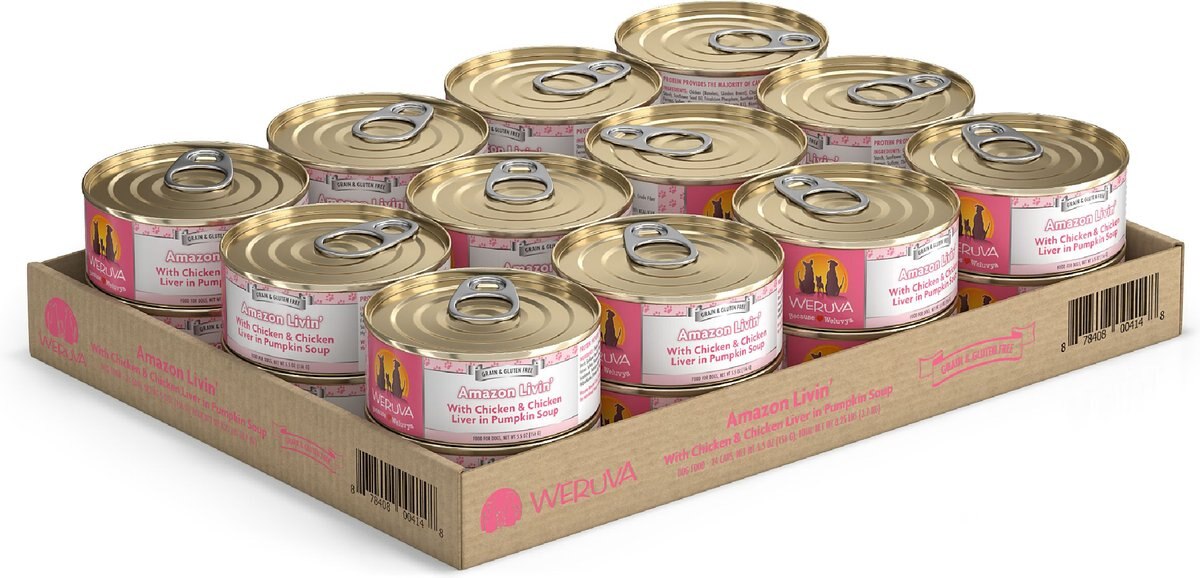 Weruva Amazon Livin' with Chicken and Chicken Liver in Pumpkin Soup Grain-Free Canned Dog Food