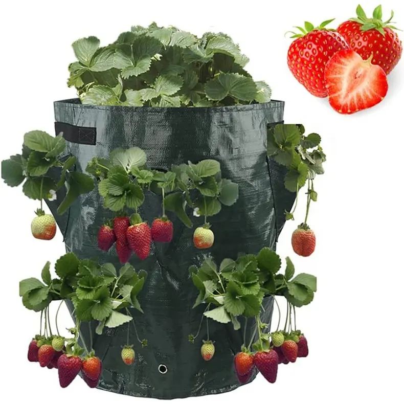 10 Gallon 6 8 Mouths Eco Friendly Biodegradable Strawberry Planting Vegetable Flower Herb Plant Container Greenhouse Grow Bags