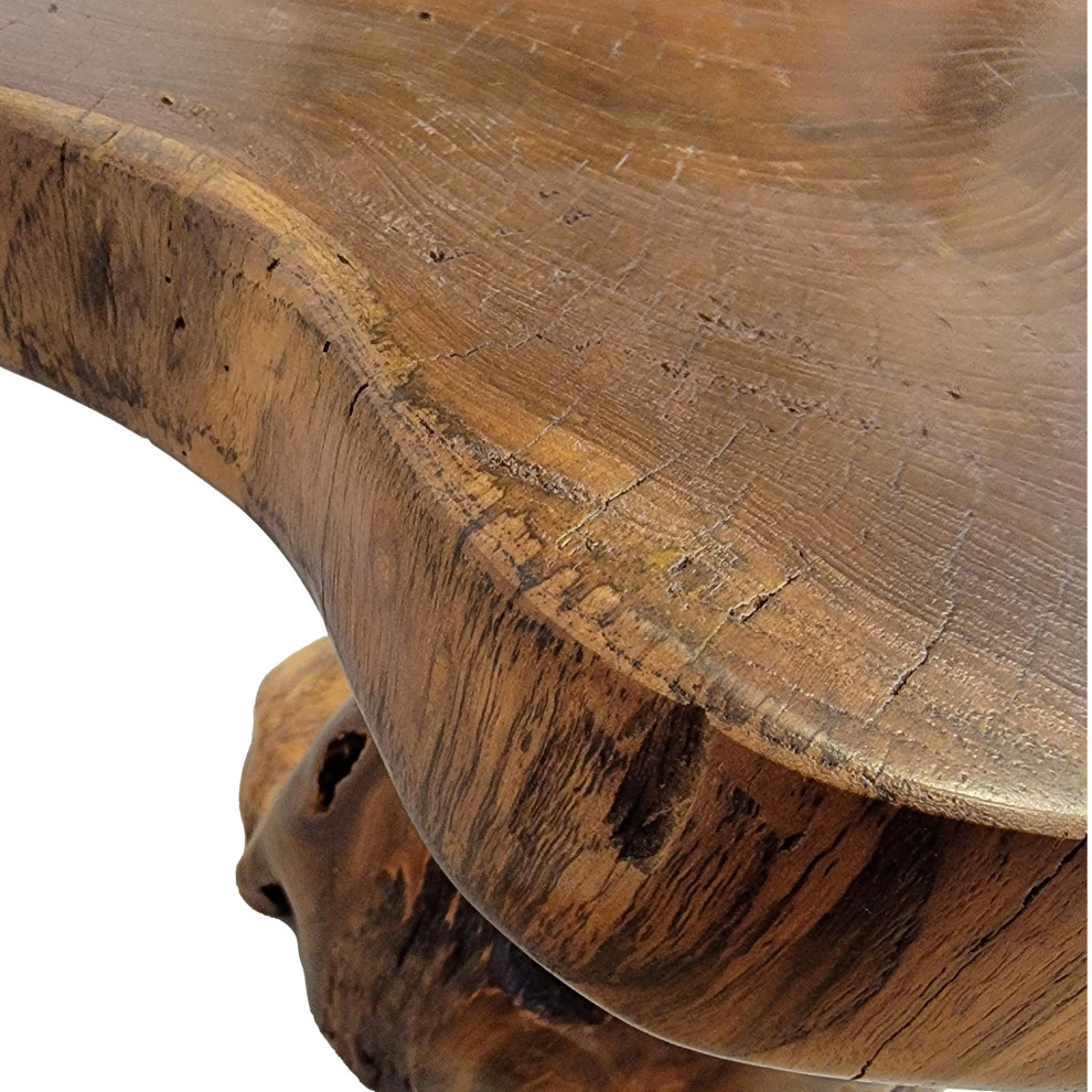 Live Edge Large Wood Accent Table 25 in Free Form Teak Root Natural Tree Trunk   Rustic   Side Tables And End Tables   by My Swanky Home  Houzz