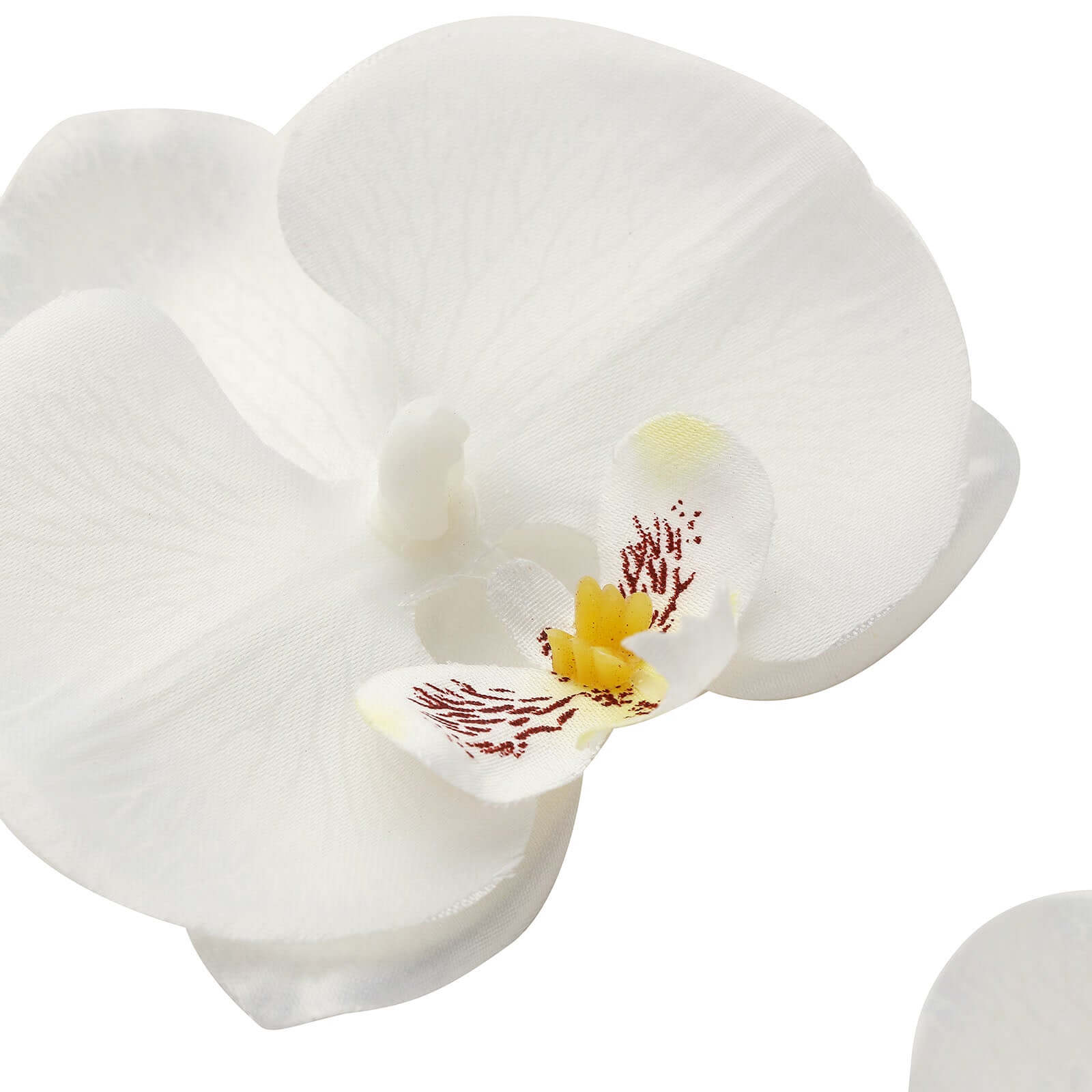 20 Flower Heads White Artificial Silk Orchids DIY Crafts 4