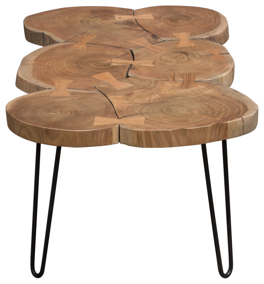 Joss Natural Acacia Live Edge Rectangle Cocktail Table  Black Hairpin Legs   Rustic   Coffee Tables   by Morning Design Group  Inc  Houzz