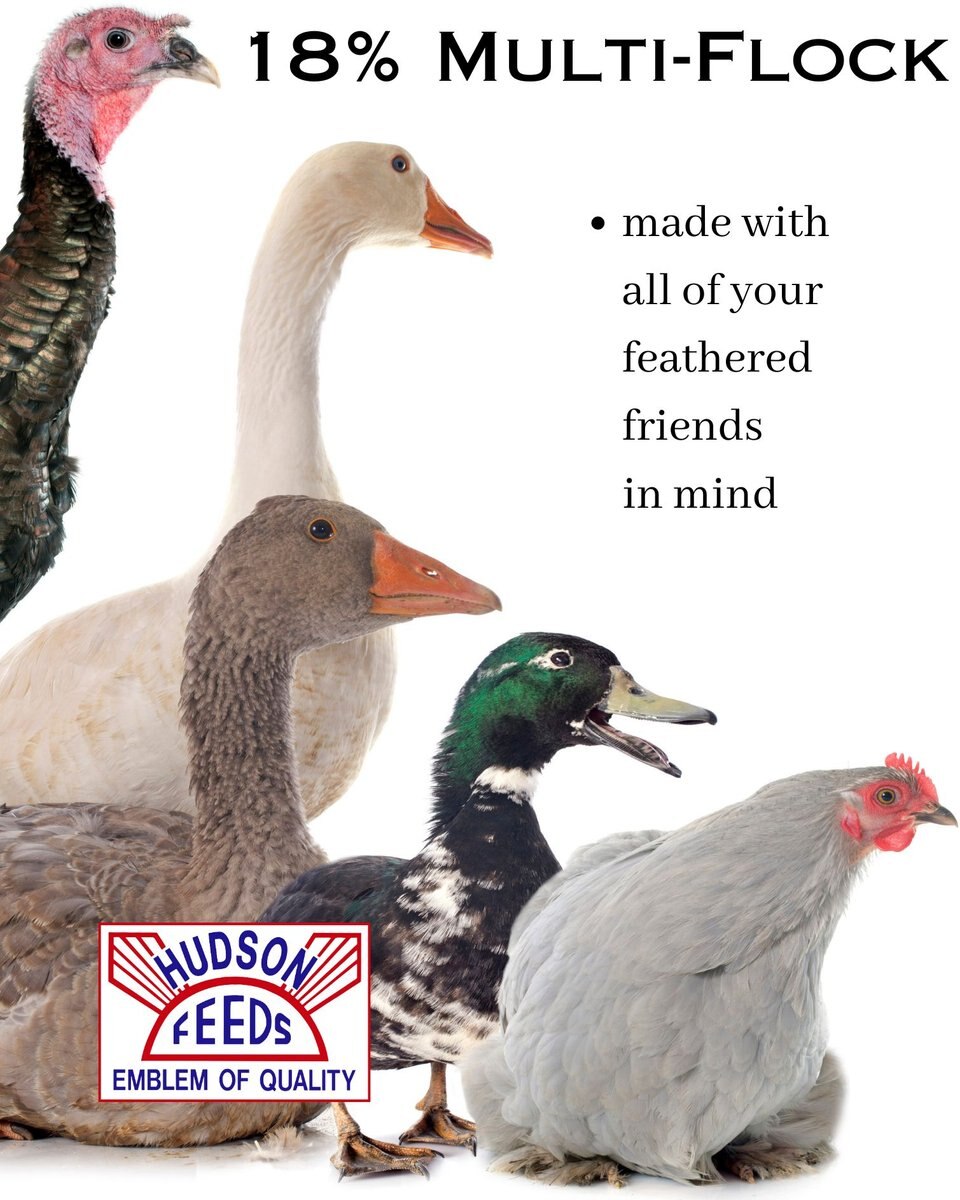 Hudson Feeds Multi-Flock Grower/Finisher Complete Poultry Feed， 50-lb bag