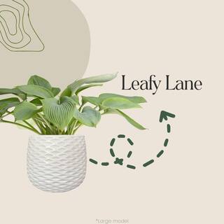 Clay planter Leafy Lane Large 873249B