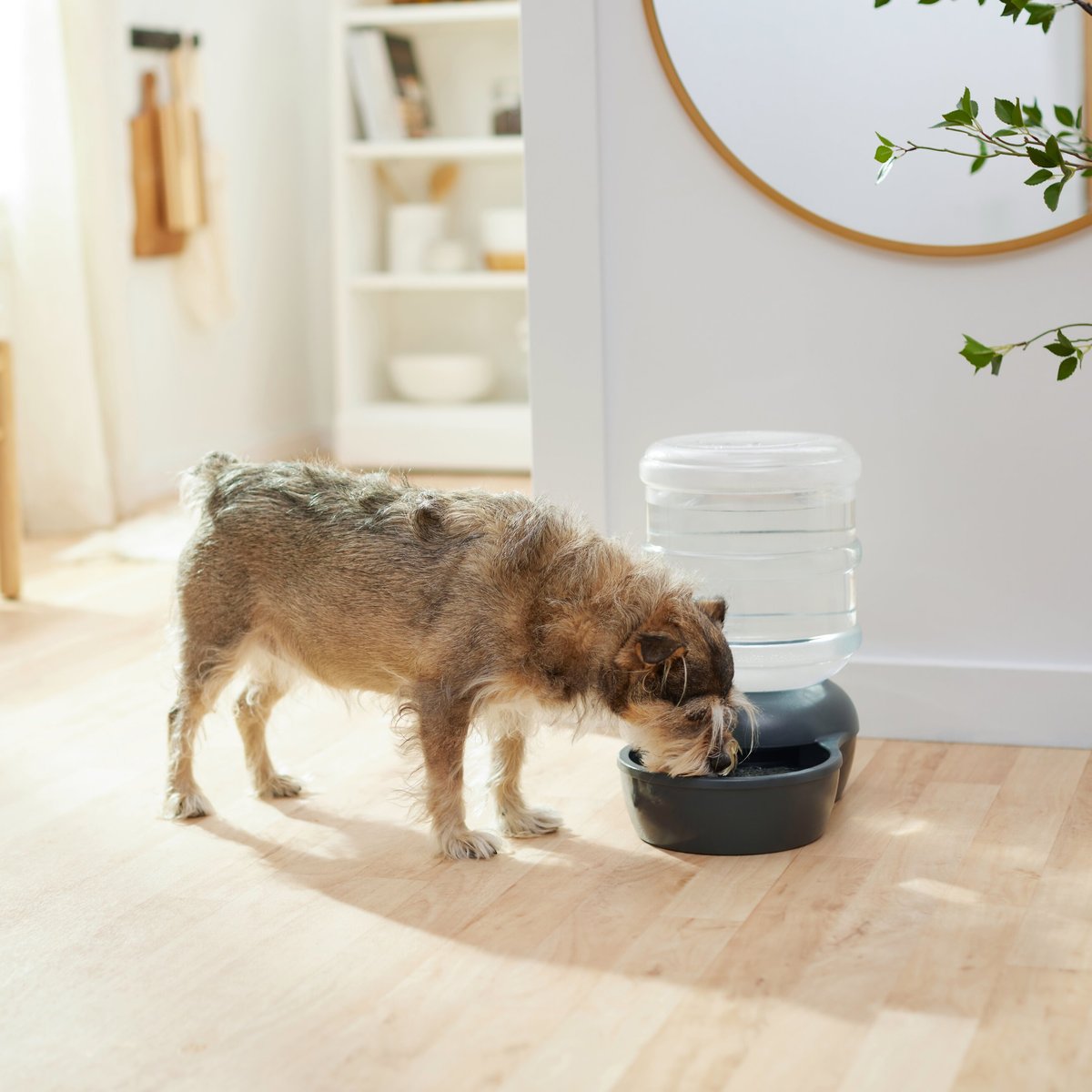 Frisco Wide Mouth Gravity Waterer