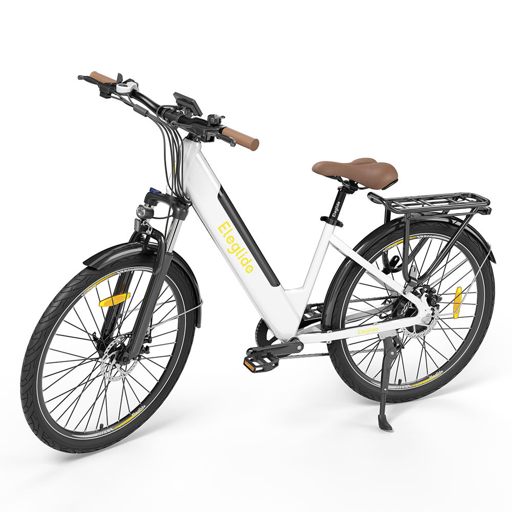 Chinese Manufacturer Trekking E Bike Step Through E Bike E Cycle Electric Bike