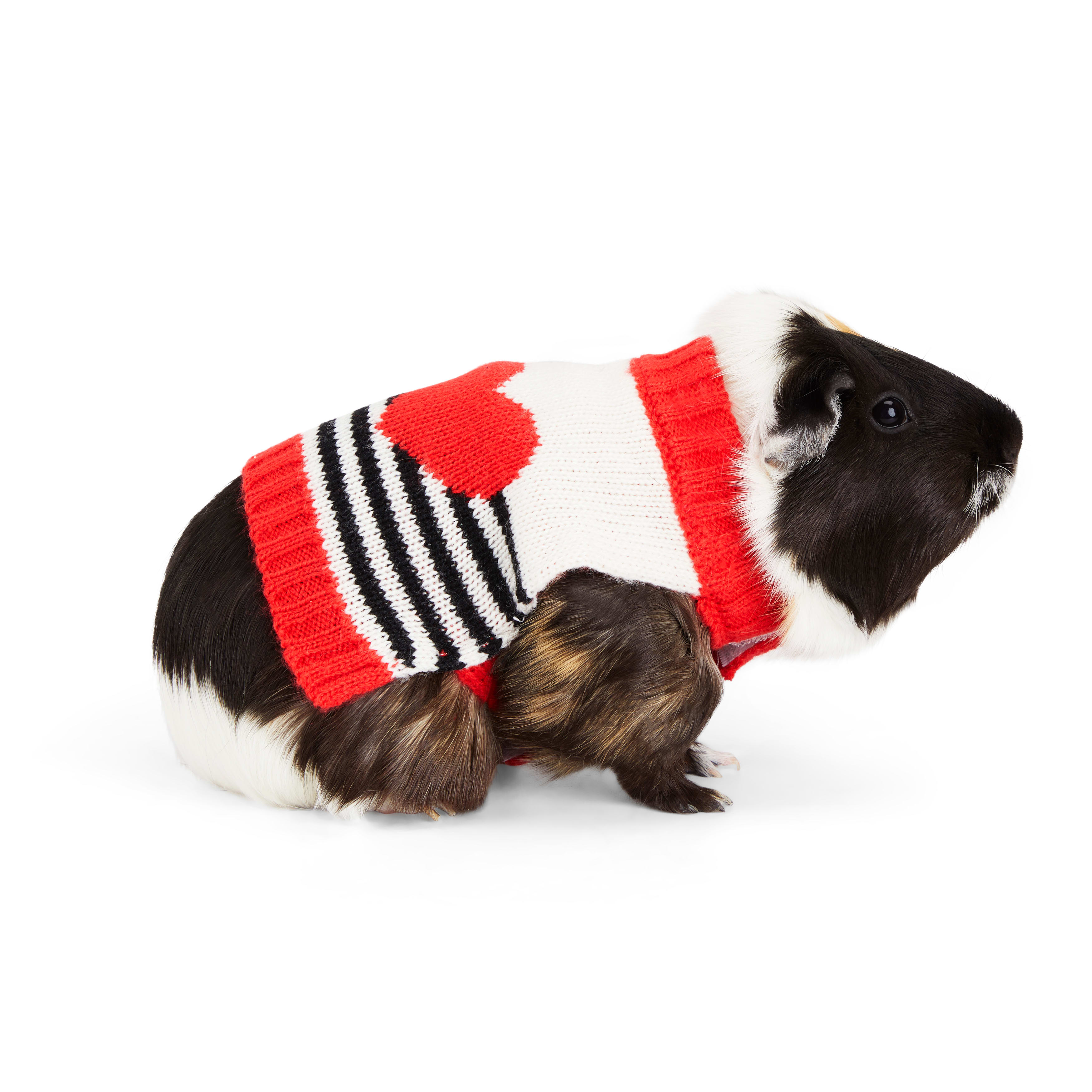 YOULY Valentines Day Stripe Heart Small Animal Sweater， Small