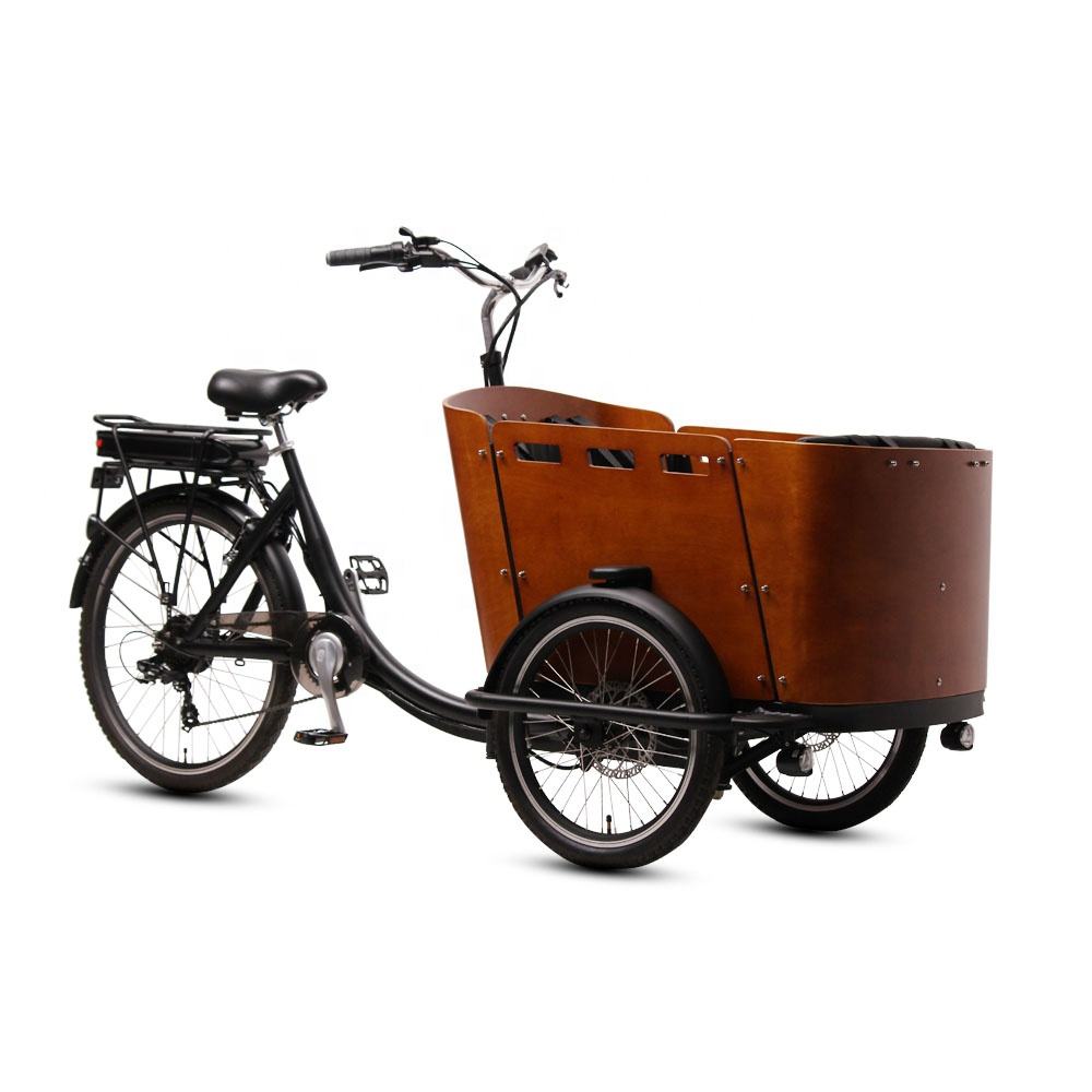 TXED 20 inch 36V/250 rear motor 3 wheel with rain cover cargo 7 speed electric bike