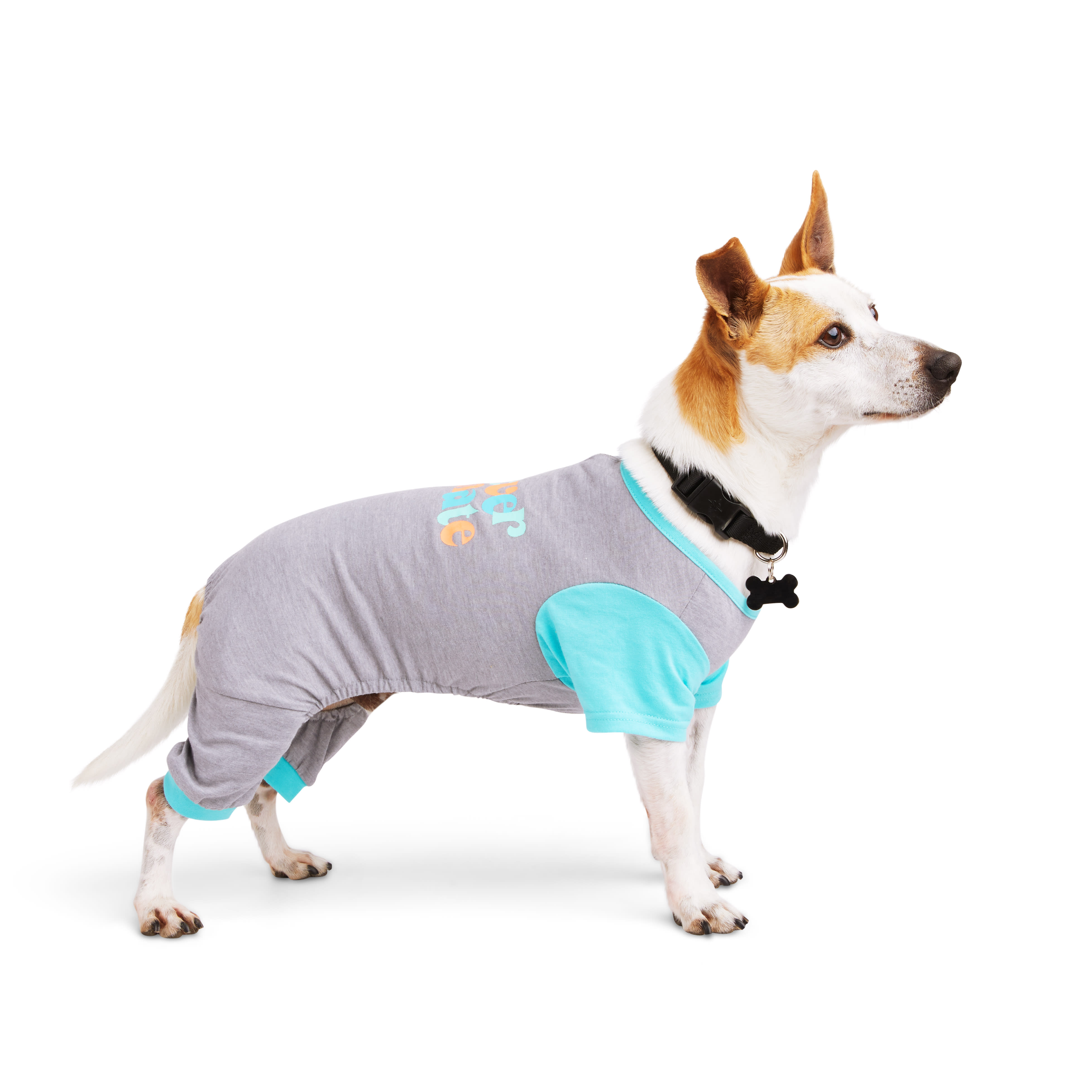 YOULY Furever Roomate Dog Pajama， XX-Large