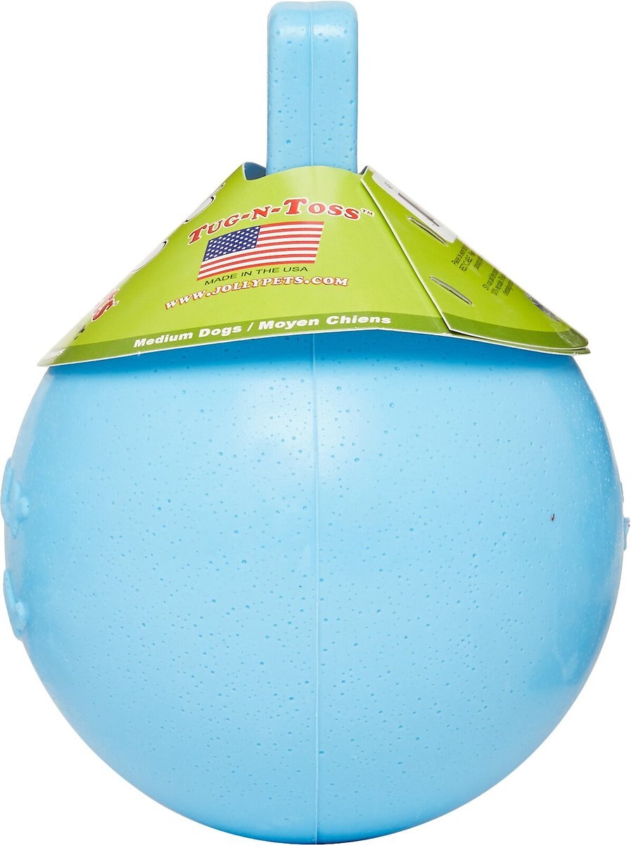 Jolly Pets Tug-n-Toss Dog Toy， Blueberry