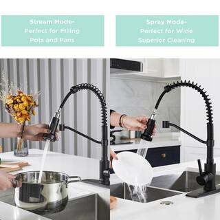 FORIOUS Pull Down Sprayer with Kitchen Faucet Single-Handle Kitchen Sink Faucet in Black HH0027B