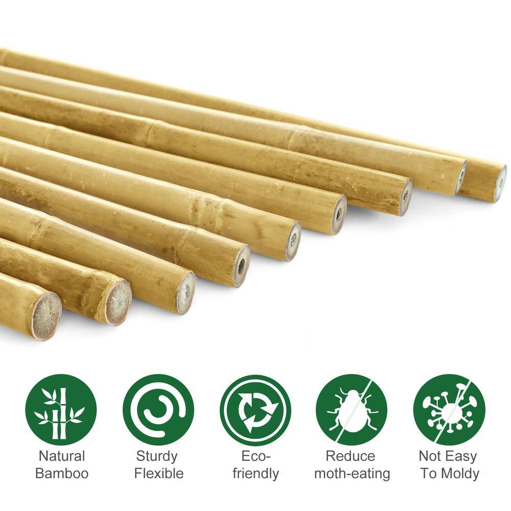 Ecostake 5 ft. Natural Bamboo Eco-Friendly Garden Plant Stakes for Climbing Support for Tomatoes Trees Beans (20-Pack) BPST520P