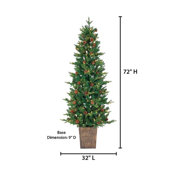 6 Foot Potted Natural Cut Georgia Pine with 200 LED lights