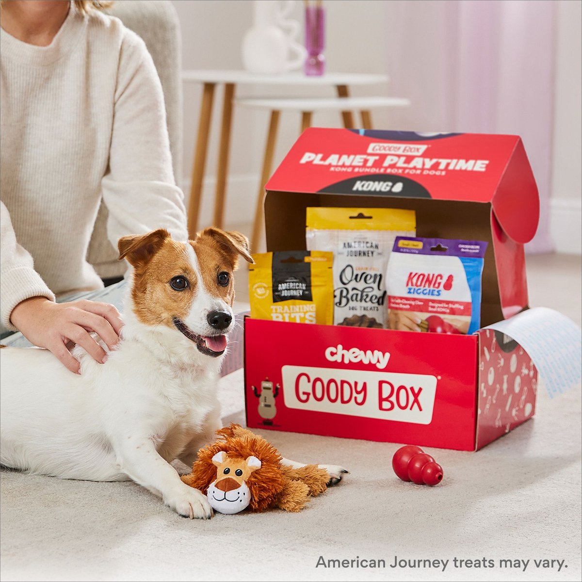 Goody Box x KONG Classic Dog Toys and Treats， Small