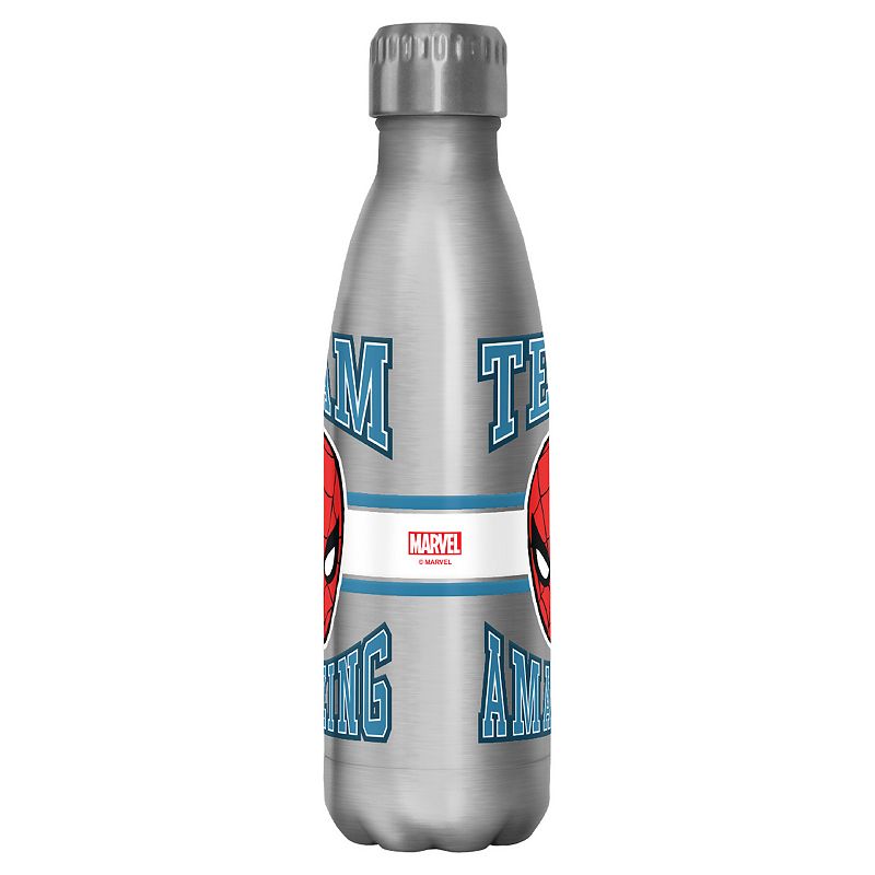 Classic Team Amazing Spider-Man 17-oz. Stainless Steel Water Bottle