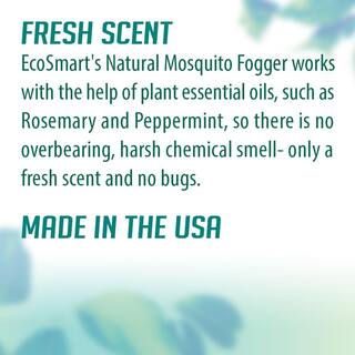 EcoSmart 14 oz. Natural Mosquito Fogger with Plant-Based Rosemary Oil and Peppermint Oil Aerosol Spray Can (2-Pack) ECSM-33726-01EC