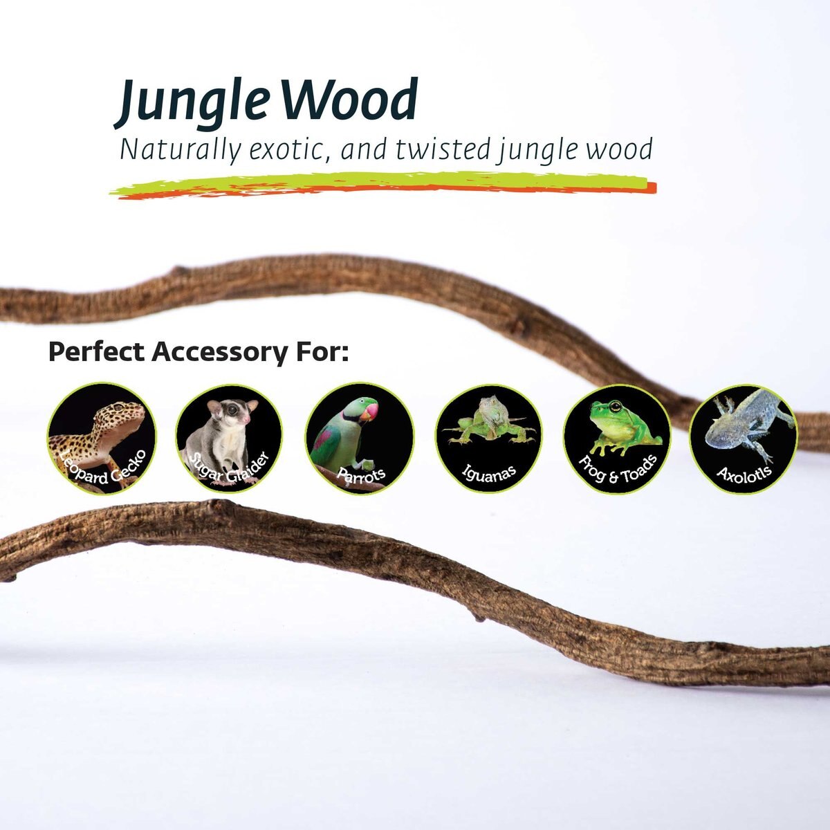 Galapagos Jungle Wood Terrarium Accessory