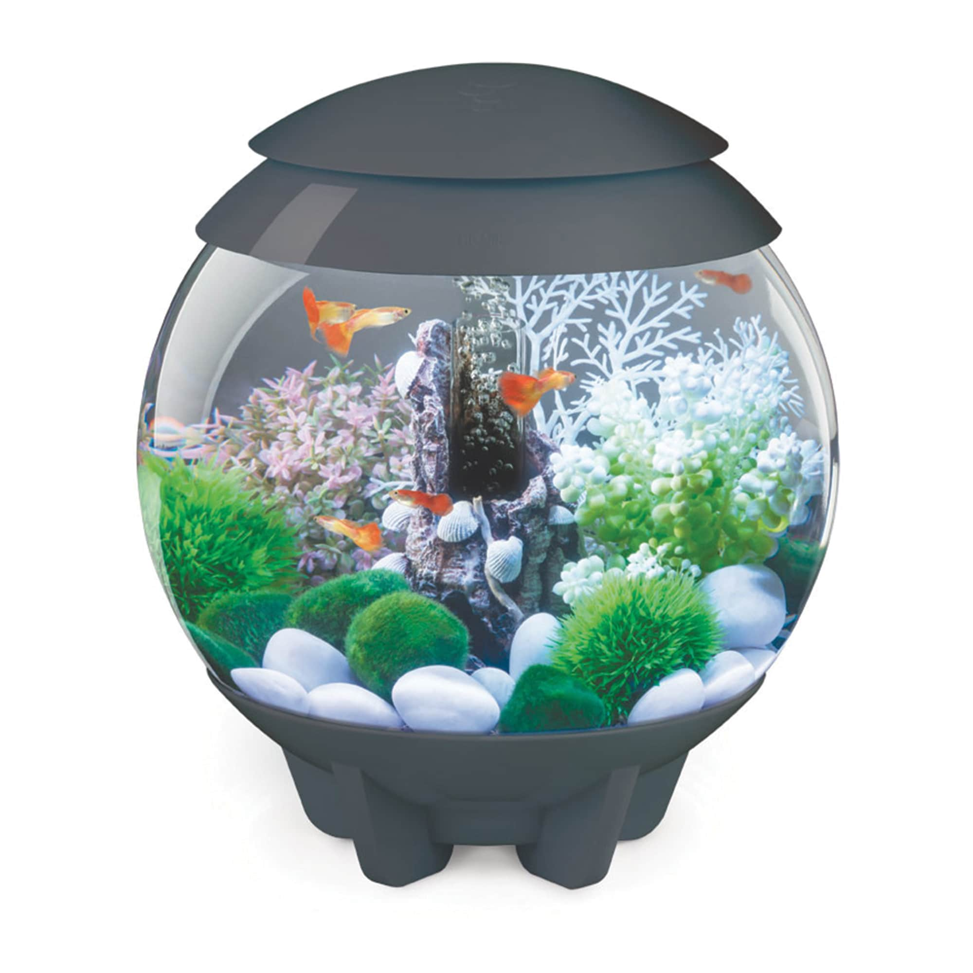 biOrb Aquarium HALO 15 with MCR Lighting - 4 Gallon， Grey