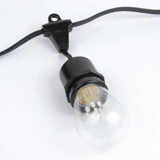 Novelty Lights Edison Outdoor String Lights With 25 Suspended Sockets Black Wire 37 5 Feet