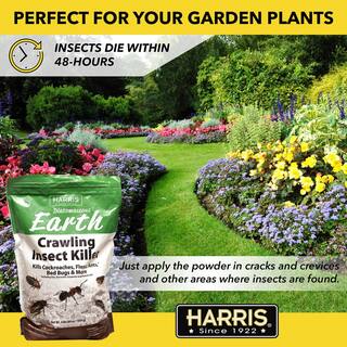 Harris 64 oz. Diatomaceous Earth Crawling Insect Killer with Shaker Applicator DECRAWL64-SHAKE