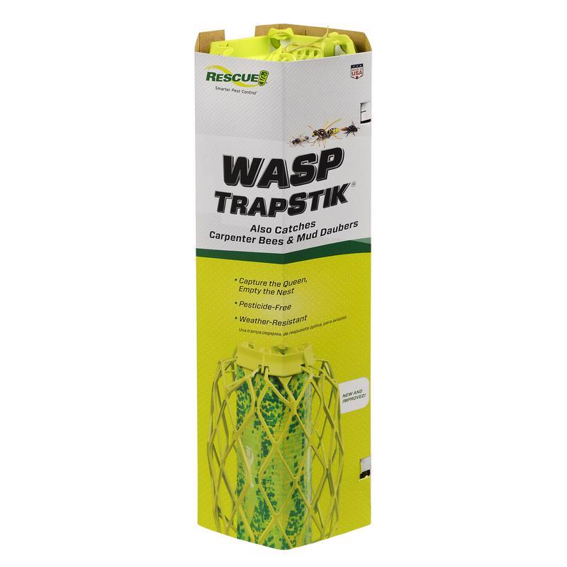 TRAPSTIK WASPS TRAP